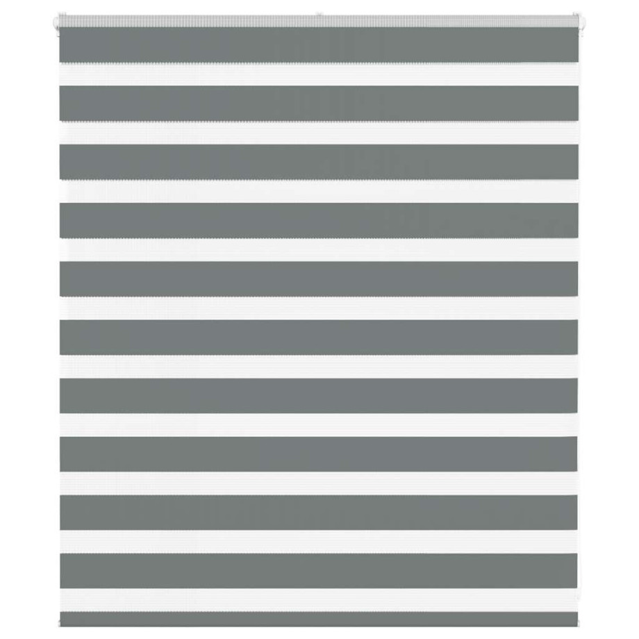 vidaXL Zebra rolgordijn 120x100 cm stofbreedte 115,9 cm donkergrijs afbeelding 1