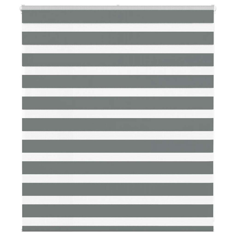 vidaXL Zebra rolgordijn 125x100 cm stofbreedte 120,9 cm donkergrijs vidaXL Zebra rolgordijn 125x100 cm stofbreedte 120,9 cm donkergrijs afbeelding 1