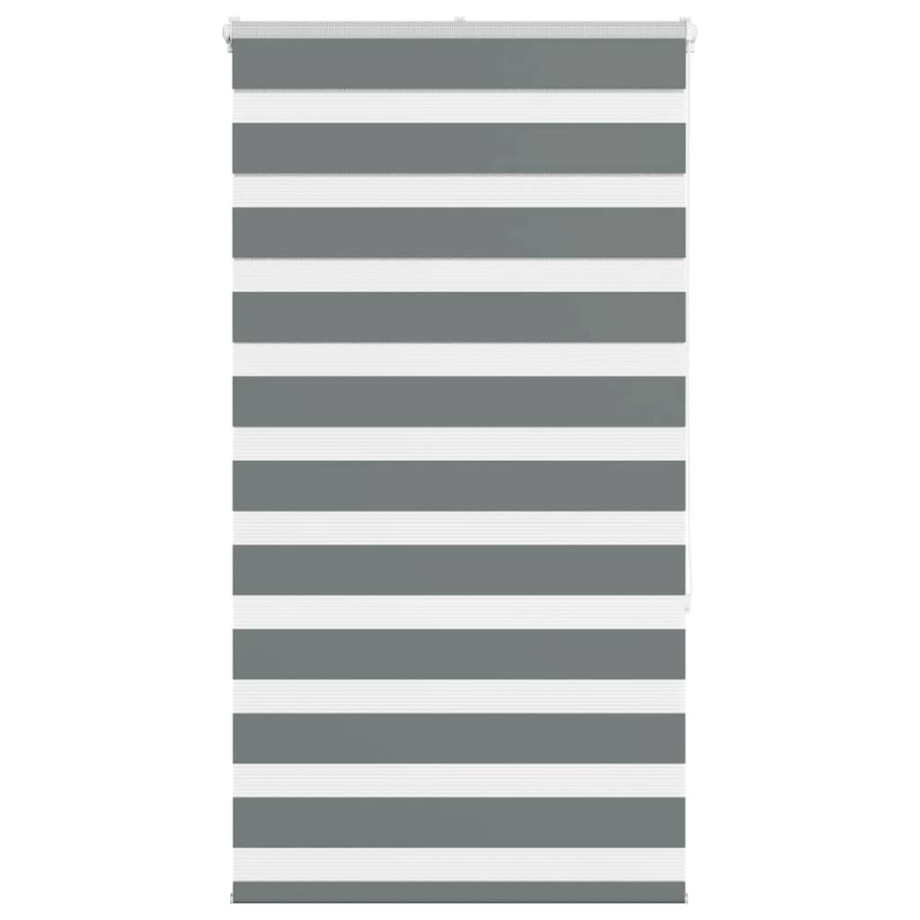 vidaXL Zebra rolgordijn 70x150 cm stofbreedte 65,9 cm donkergrijs vidaXL Zebra rolgordijn 70x150 cm stofbreedte 65,9 cm donkergrijs afbeelding 1