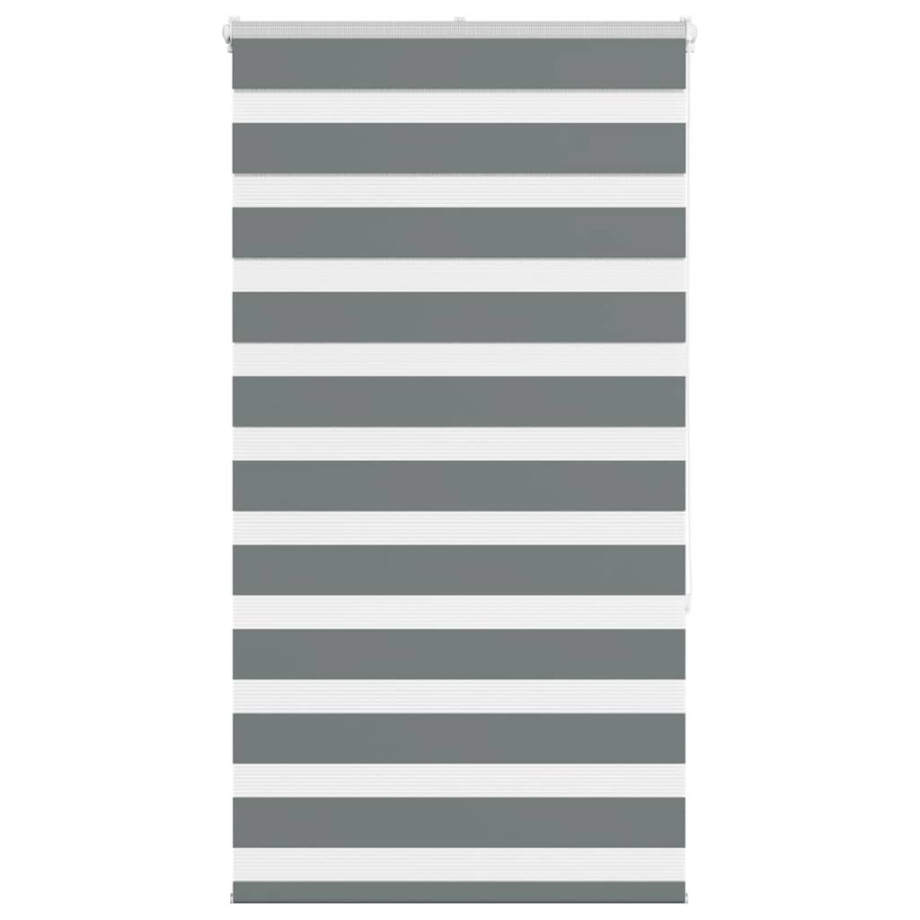 vidaXL Zebra rolgordijn 85x150 cm stofbreedte 80,9 cm donkergrijs vidaXL Zebra rolgordijn 85x150 cm stofbreedte 80,9 cm donkergrijs afbeelding 1