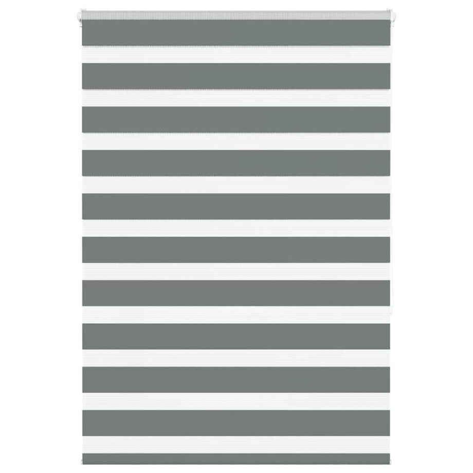 vidaXL Zebra rolgordijn 100x150 cm stofbreedte 95,9 cm donkergrijs afbeelding 1