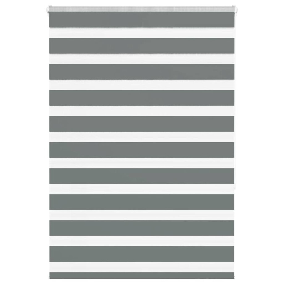 vidaXL Zebra rolgordijn 105x150 cm stofbreedte 100,9 cm donkergrijs vidaXL Zebra rolgordijn 105x150 cm stofbreedte 100,9 cm donkergrijs afbeelding 1
