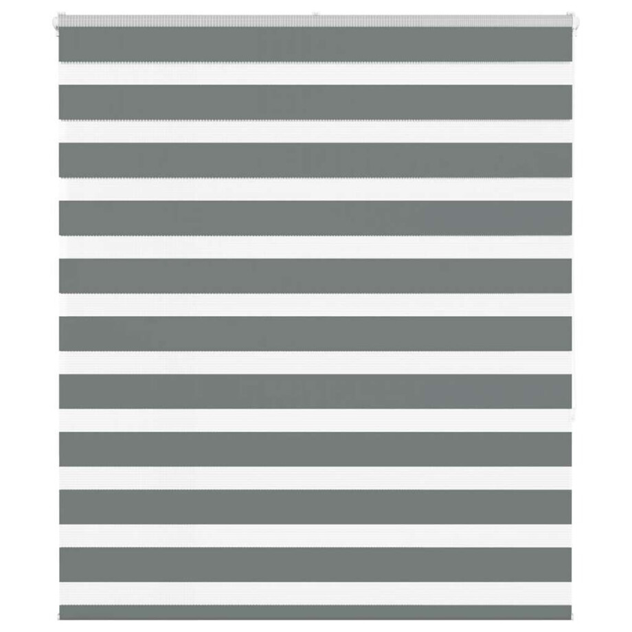 vidaXL Zebra rolgordijn 120x150 cm stofbreedte 115,9 cm donkergrijs vidaXL Zebra rolgordijn 120x150 cm stofbreedte 115,9 cm donkergrijs afbeelding 1