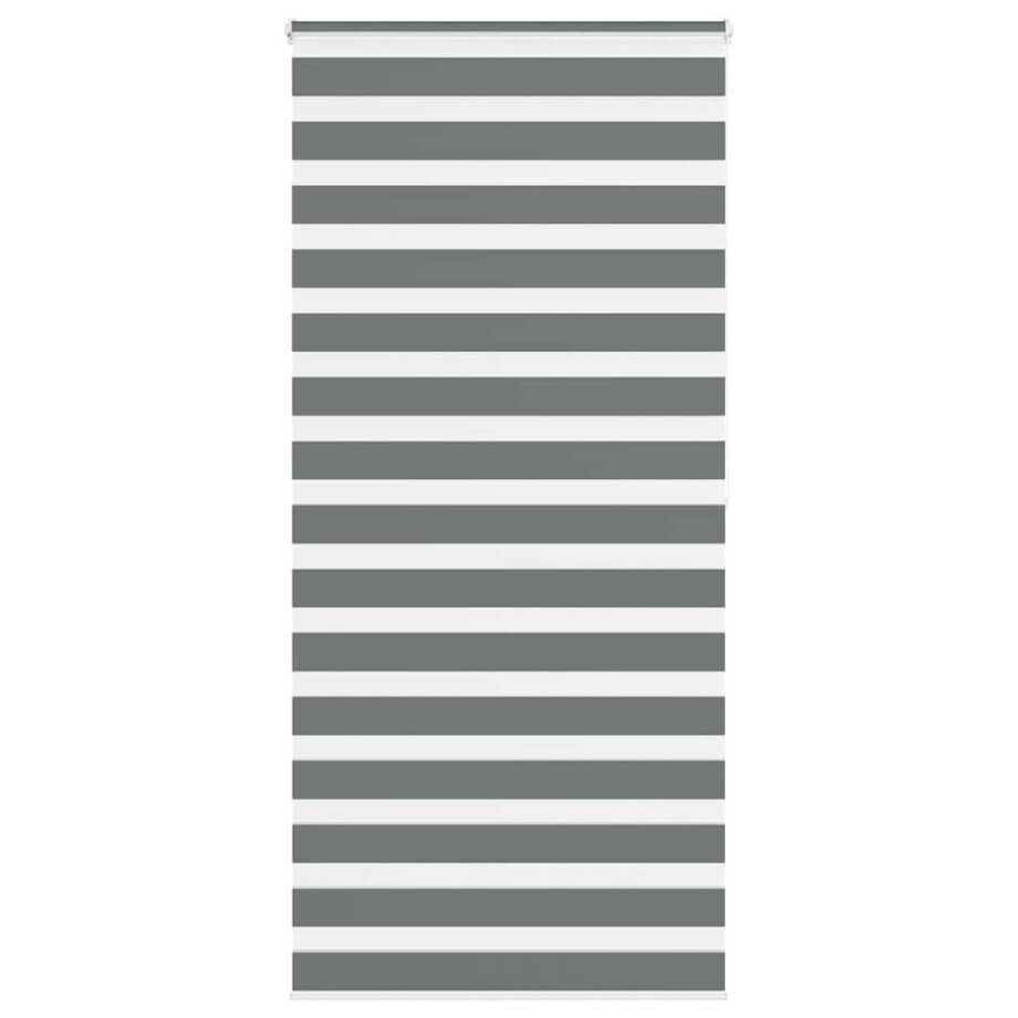 vidaXL Zebra rolgordijn 95x200 cm stofbreedte 90,9 cm donkergrijs vidaXL Zebra rolgordijn 95x200 cm stofbreedte 90,9 cm donkergrijs afbeelding 1
