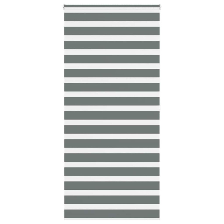 vidaXL Zebra rolgordijn 105x200 cm stofbreedte 100,9 cm donkergrijs vidaXL Zebra rolgordijn 105x200 cm stofbreedte 100,9 cm donkergrijs afbeelding 1