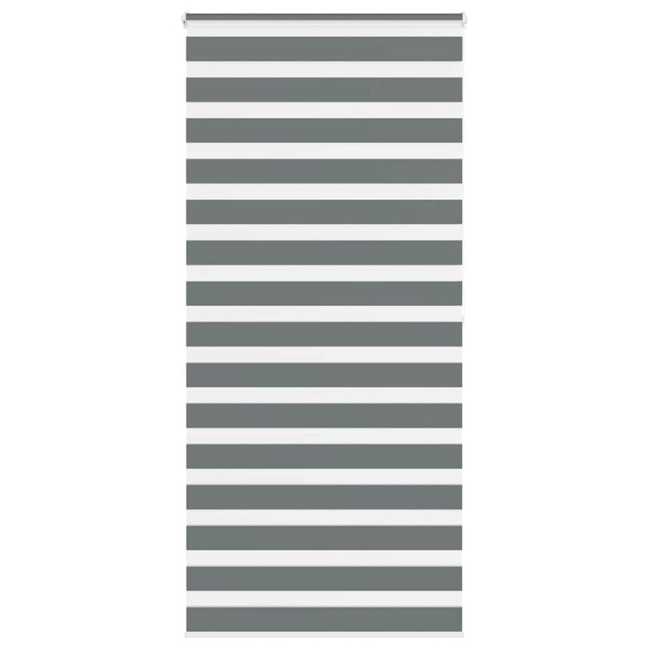 vidaXL Zebra rolgordijn 110x200 cm stofbreedte 105,9 cm donkergrijs vidaXL Zebra rolgordijn 110x200 cm stofbreedte 105,9 cm donkergrijs afbeelding 1