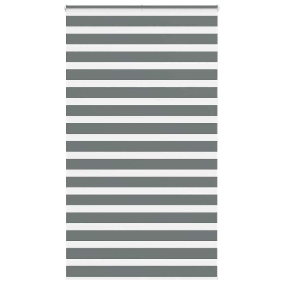 vidaXL Zebra rolgordijn 125x200 cm stofbreedte 120,9 cm donkergrijs vidaXL Zebra rolgordijn 125x200 cm stofbreedte 120,9 cm donkergrijs afbeelding 1