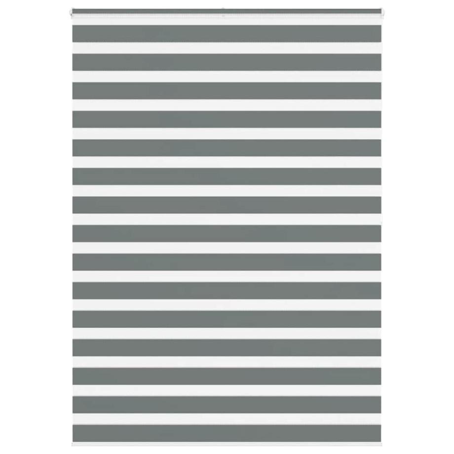 vidaXL Zebra rolgordijn 160x200 cm stofbreedte 155,9 cm donkergrijs afbeelding 1