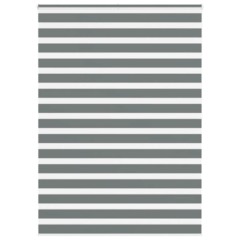 vidaXL Zebra rolgordijn 160x200 cm stofbreedte 155,9 cm donkergrijs vidaXL Zebra rolgordijn 160x200 cm stofbreedte 155,9 cm donkergrijs afbeelding 1