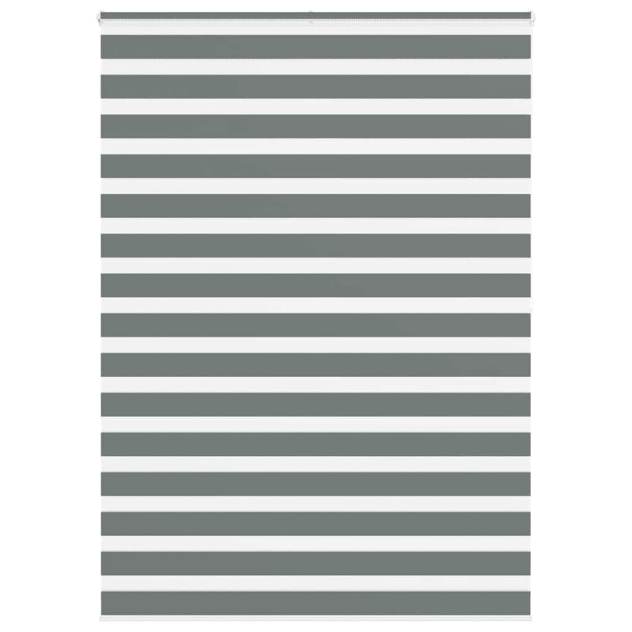 vidaXL Zebra rolgordijn 165x200 cm stofbreedte 160,9 cm donkergrijs vidaXL Zebra rolgordijn 165x200 cm stofbreedte 160,9 cm donkergrijs afbeelding 1