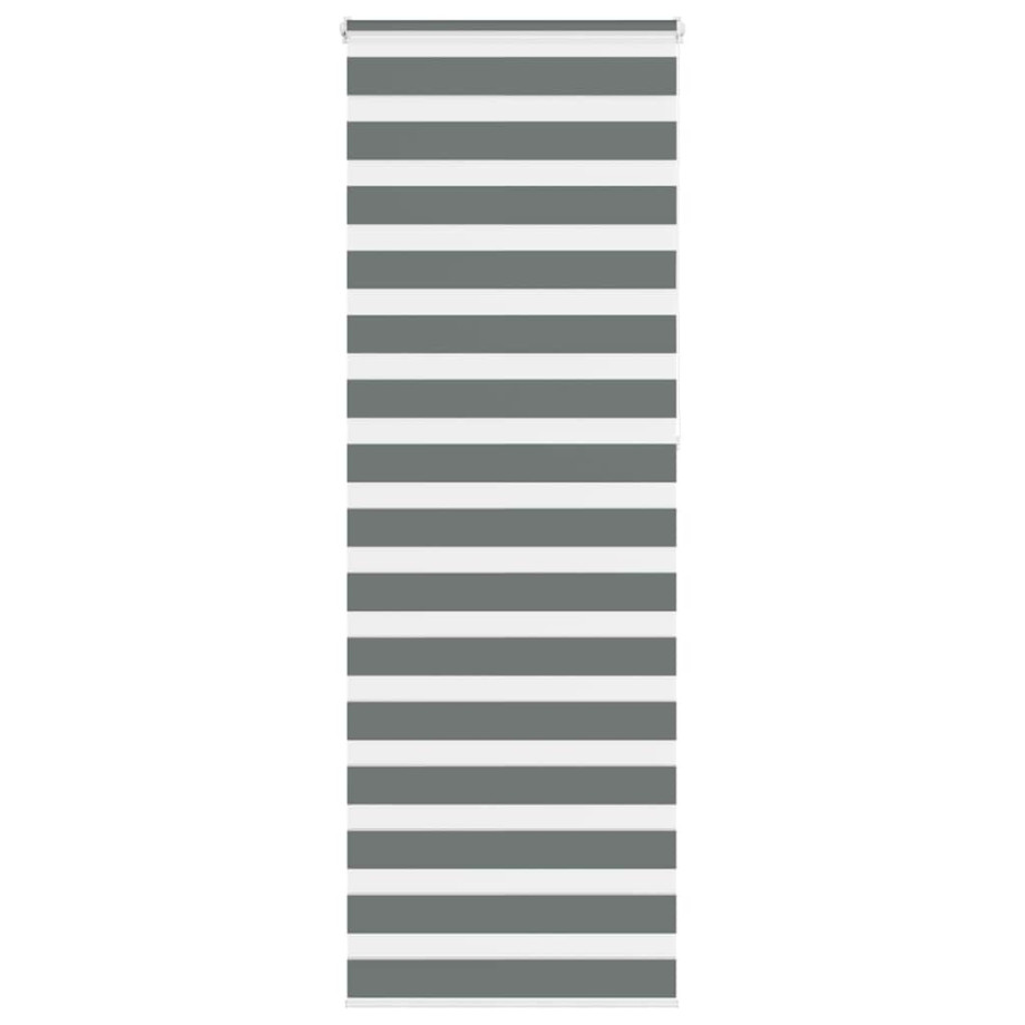 vidaXL Zebra rolgordijn 70x230 cm stofbreedte 65,9 cm donkergrijs afbeelding 1