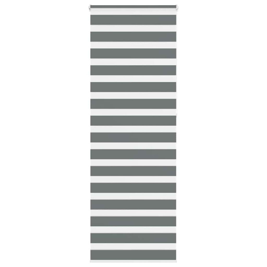 vidaXL Zebra rolgordijn 70x230 cm stofbreedte 65,9 cm donkergrijs vidaXL Zebra rolgordijn 70x230 cm stofbreedte 65,9 cm donkergrijs afbeelding 1