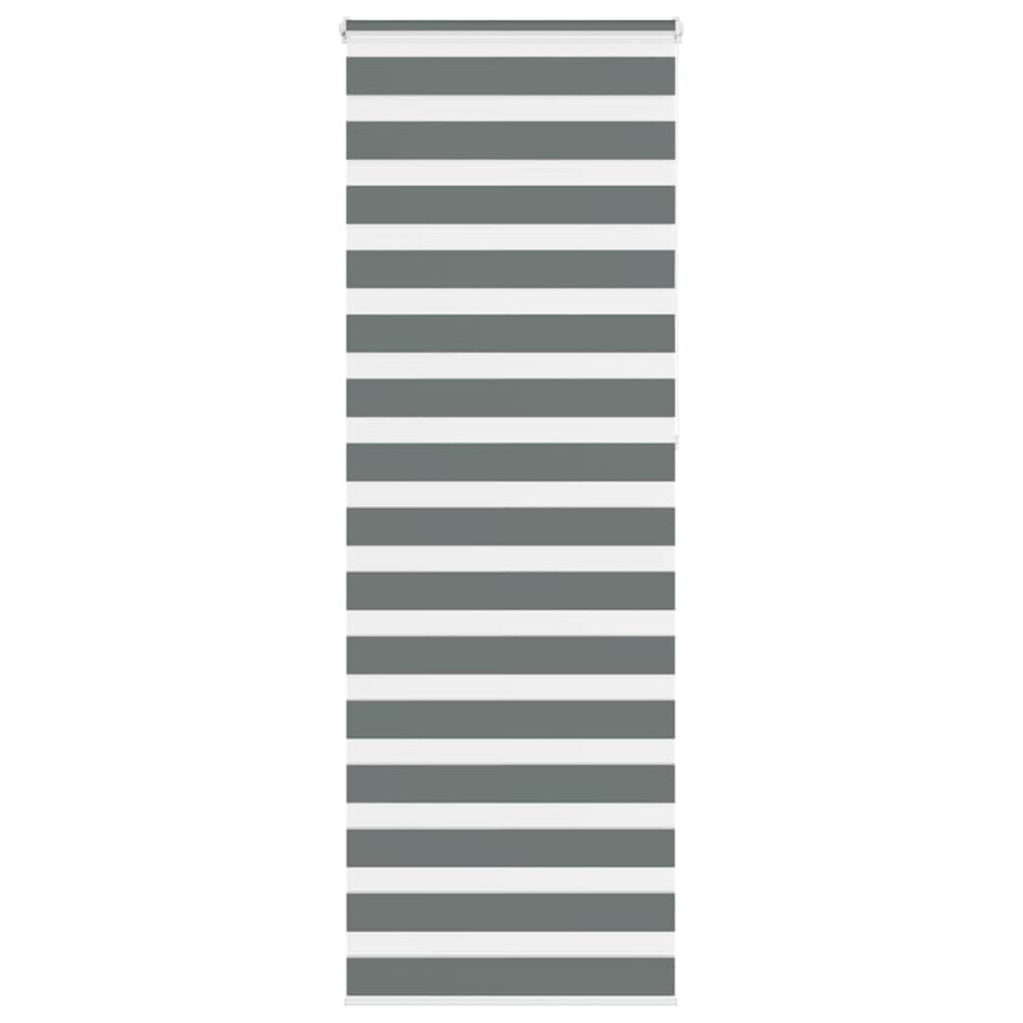 vidaXL Zebra rolgordijn 75x230 cm stofbreedte 70,9 cm donkergrijs vidaXL Zebra rolgordijn 75x230 cm stofbreedte 70,9 cm donkergrijs afbeelding 1