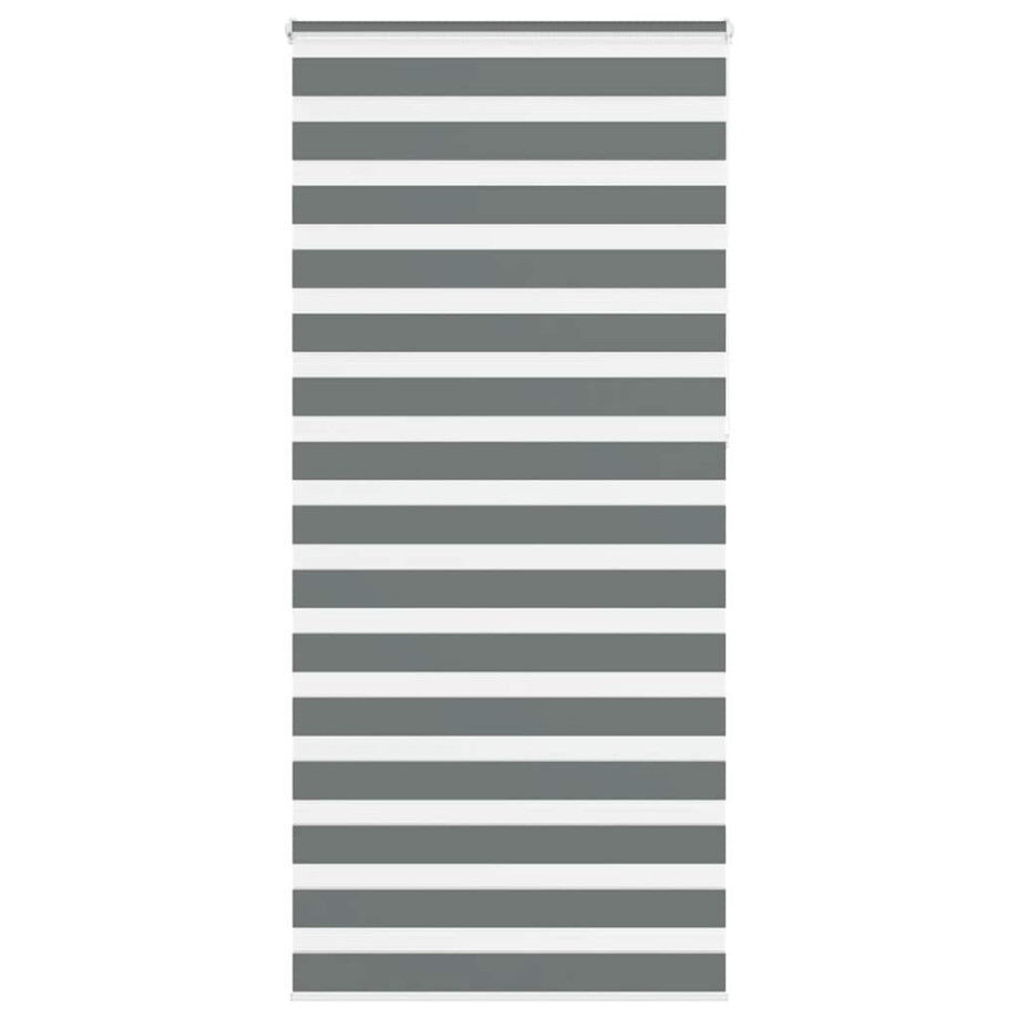 vidaXL Zebra rolgordijn 100x230 cm stofbreedte 95,9 cm donkergrijs afbeelding 1