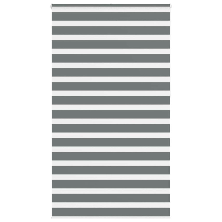vidaXL Zebra rolgordijn 120x230 cm stofbreedte 115,9 cm donkergrijs afbeelding 1