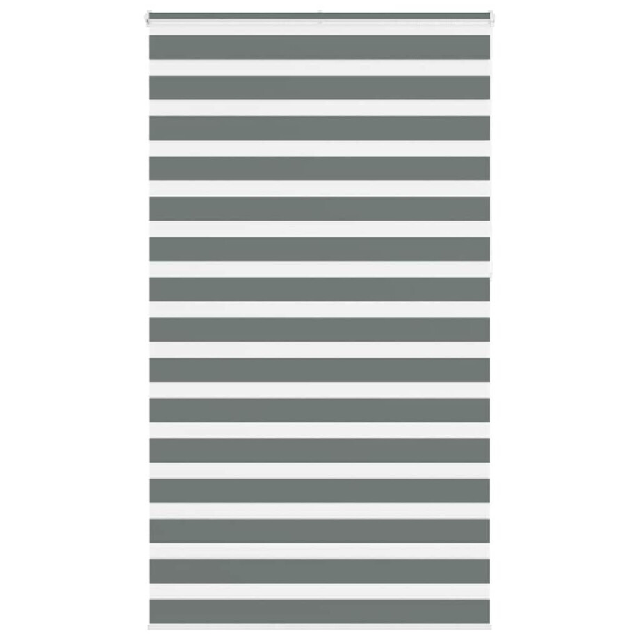vidaXL Zebra rolgordijn 120x230 cm stofbreedte 115,9 cm donkergrijs vidaXL Zebra rolgordijn 120x230 cm stofbreedte 115,9 cm donkergrijs afbeelding 1