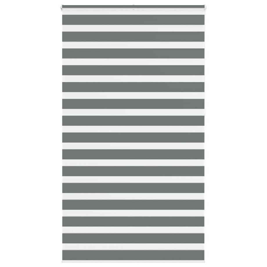 vidaXL Zebra rolgordijn 125x230 cm stofbreedte 120,9 cm donkergrijs vidaXL Zebra rolgordijn 125x230 cm stofbreedte 120,9 cm donkergrijs afbeelding 1