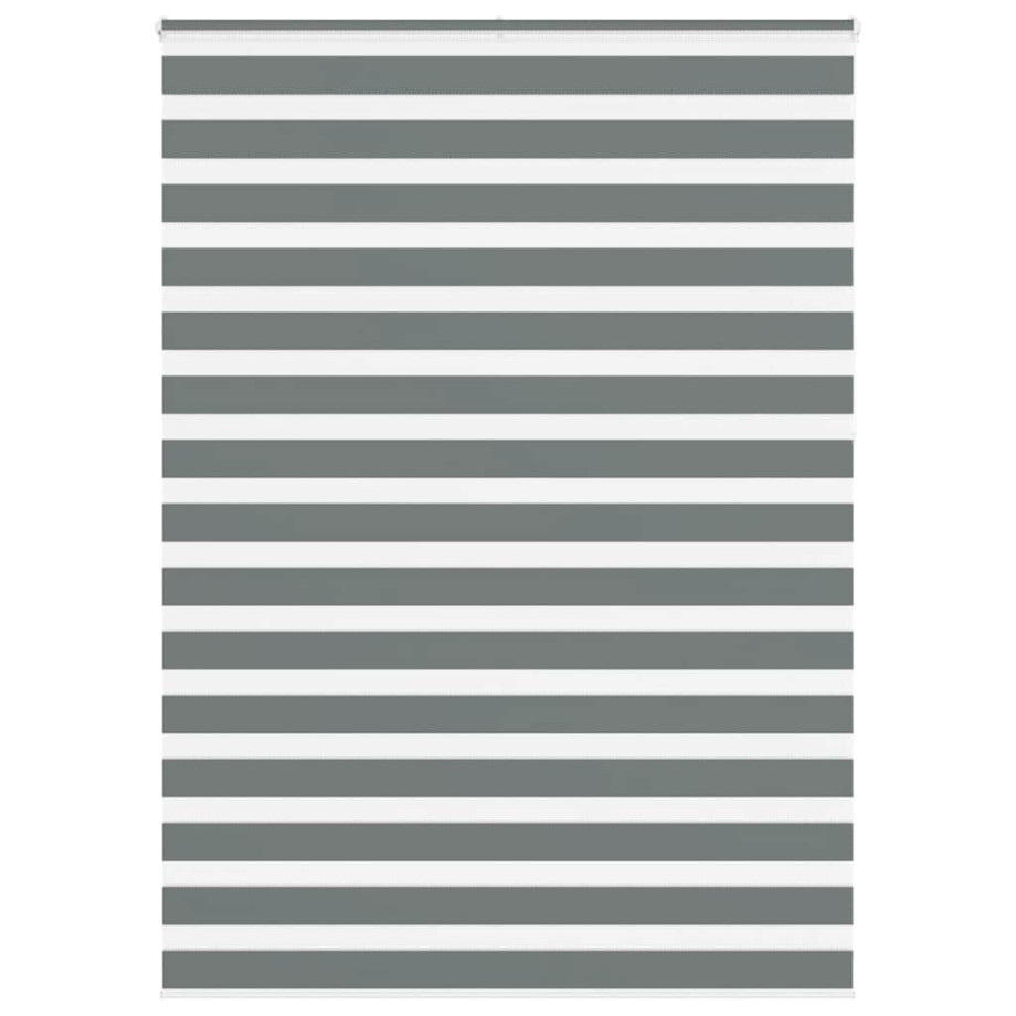 vidaXL Zebra rolgordijn 160x230 cm stofbreedte 155,9 cm donkergrijs afbeelding 1