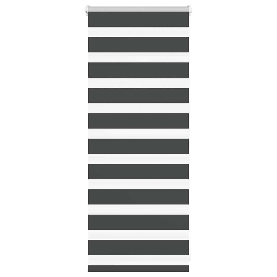 vidaXL Zebra rolgordijn 60x100 cm stofbreedte zwart 55,9 cm vidaXL Zebra rolgordijn 60x100 cm stofbreedte zwart 55,9 cm afbeelding 1