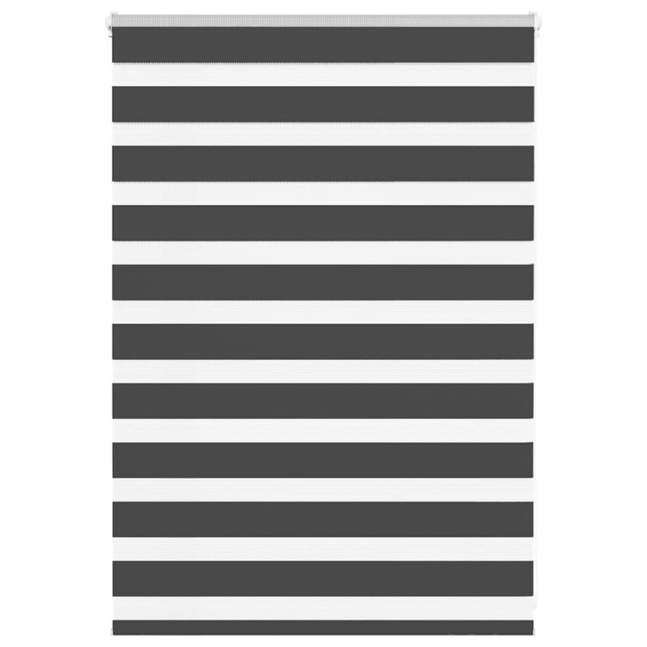 vidaXL Zebra rolgordijn 105x100 cm stofbreedte 100,9 cm zwart afbeelding 1