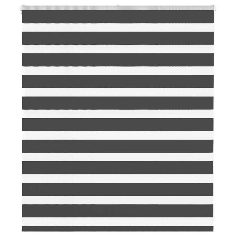 vidaXL Zebra rolgordijn 120x100 cm stofbreedte 115,9 cm zwart vidaXL Zebra rolgordijn 120x100 cm stofbreedte 115,9 cm zwart afbeelding 1