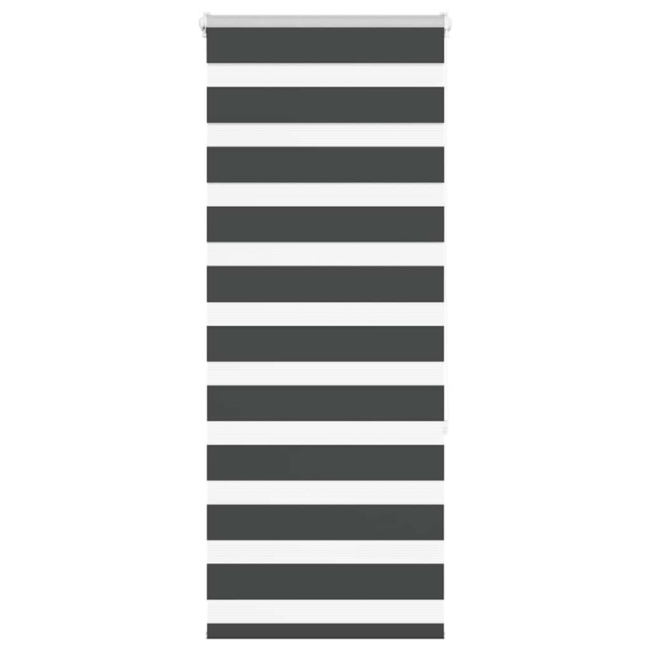 vidaXL Zebra rolgordijn 55x150 cm stofbreedte 50,9 cm zwart afbeelding 1