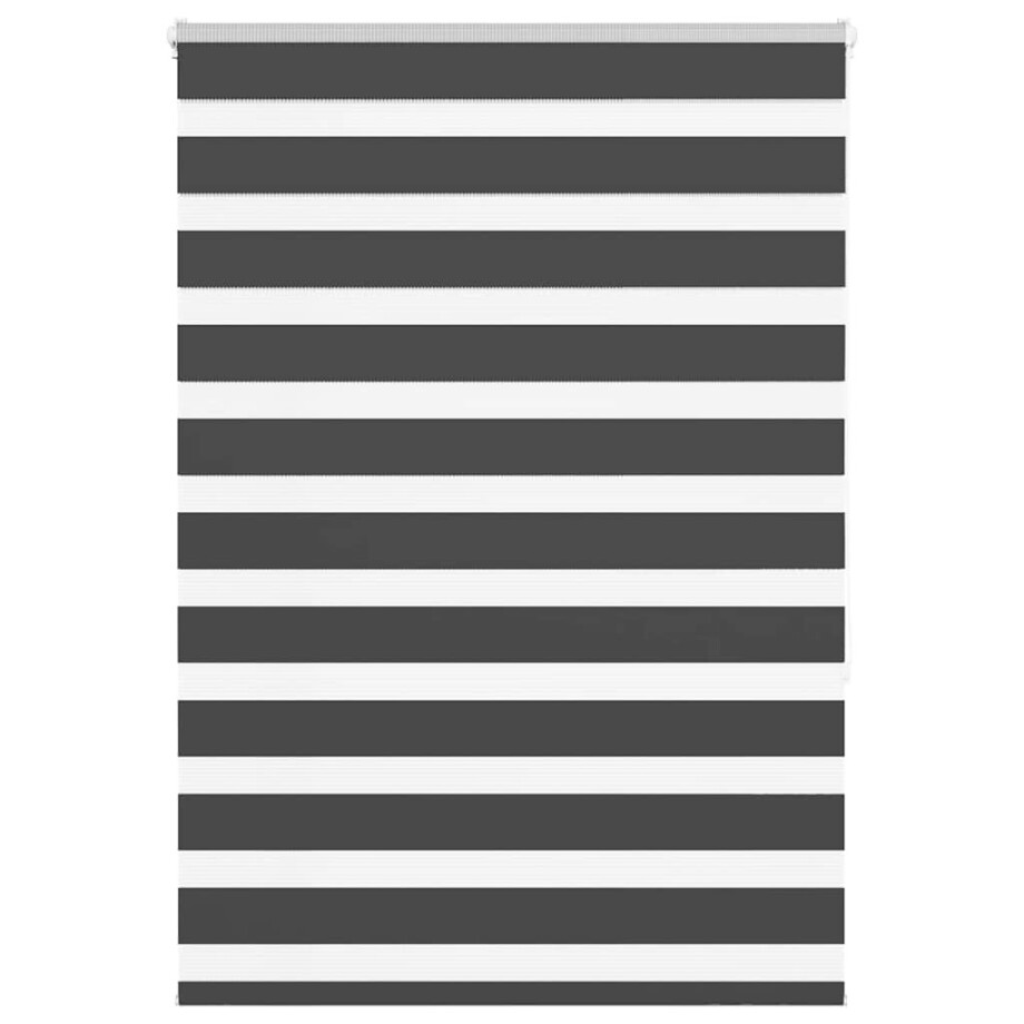 vidaXL Zebra rolgordijn 100x150 cm stofbreedte 95,9 cm zwart vidaXL Zebra rolgordijn 100x150 cm stofbreedte 95,9 cm zwart afbeelding 1