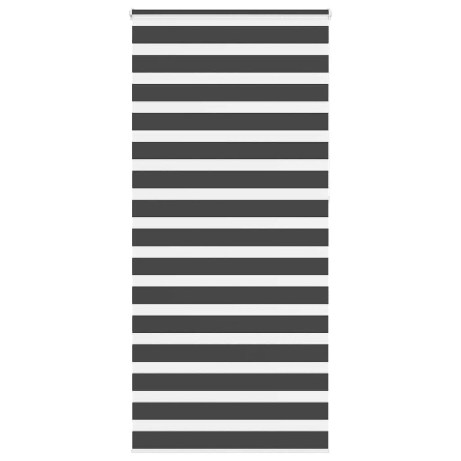 vidaXL Zebra rolgordijn 105x230 cm stofbreedte 100,9 cm zwart vidaXL Zebra rolgordijn 105x230 cm stofbreedte 100,9 cm zwart afbeelding 1