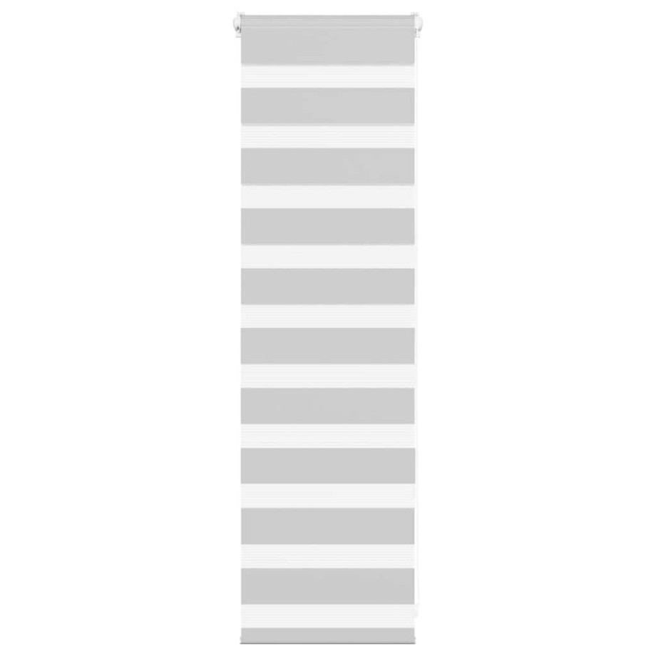 vidaXL Zebra rolgordijn 45x100 cm stofbreedte 40,9 cm lichtgrijs afbeelding 1