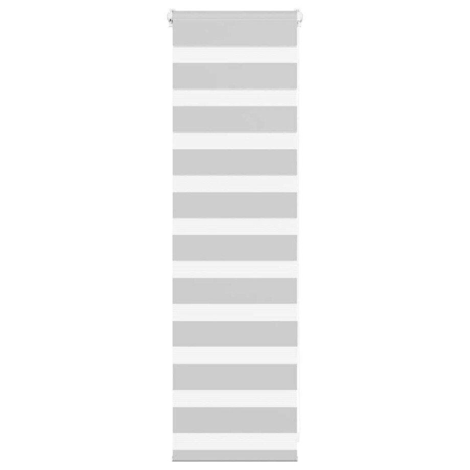 vidaXL Zebra rolgordijn 45x100 cm stofbreedte 40,9 cm lichtgrijs afbeelding 1