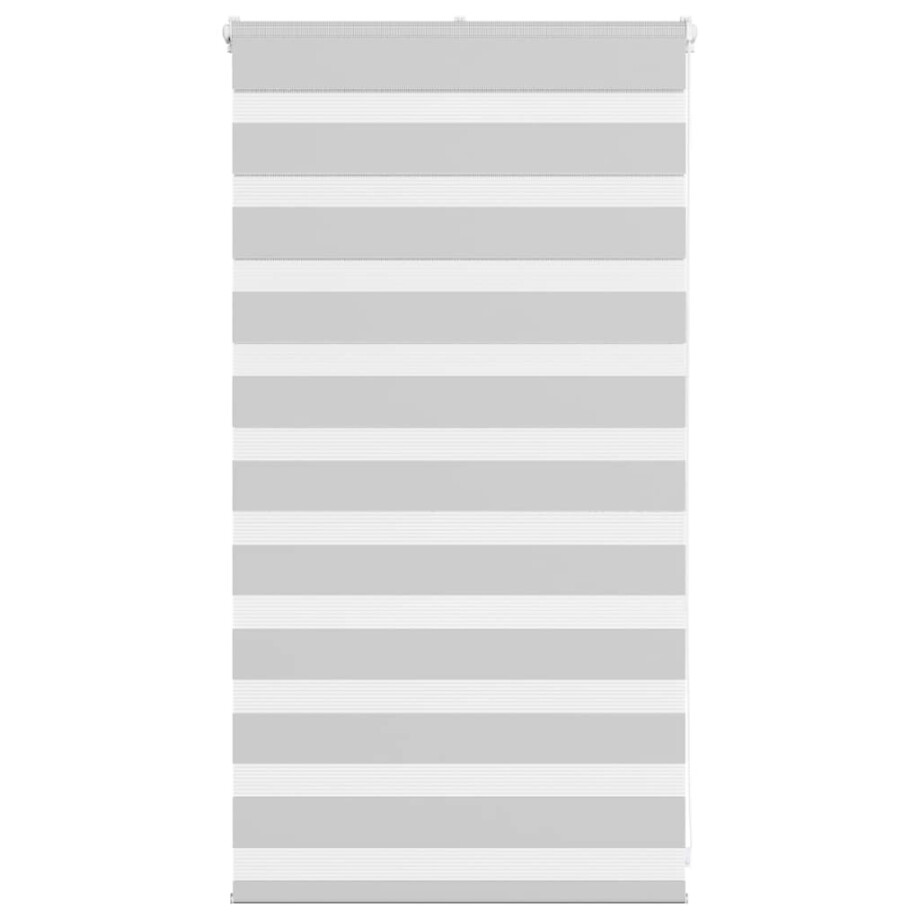 vidaXL Zebra rolgordijn 90x100 cm stofbreedte 85,9 cm lichtgrijs vidaXL Zebra rolgordijn 90x100 cm stofbreedte 85,9 cm lichtgrijs afbeelding 1