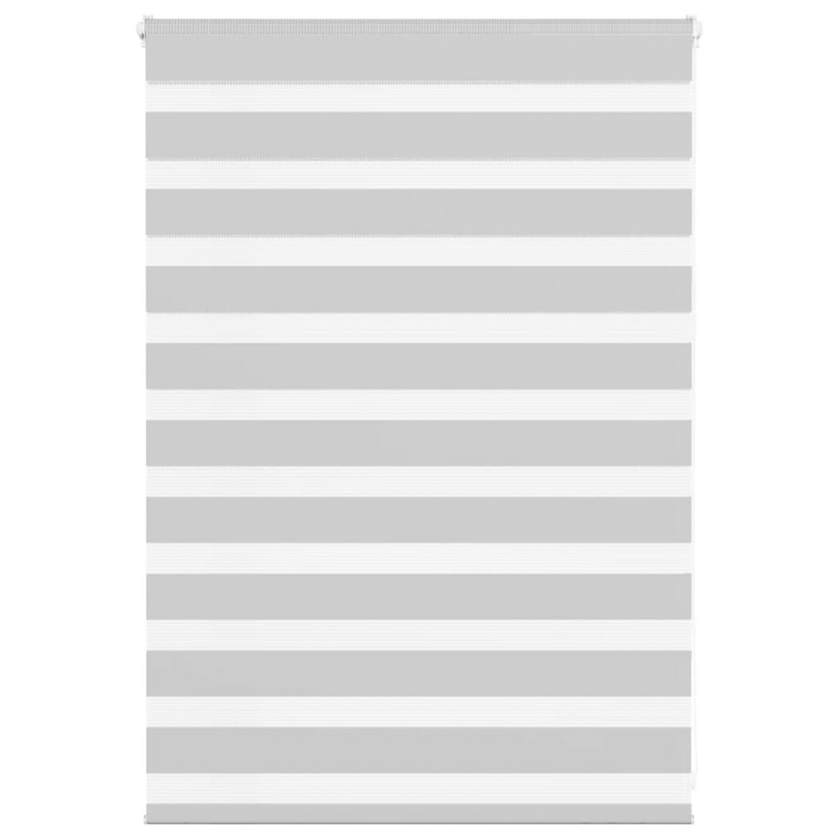 vidaXL Zebra rolgordijn 100x100 cm stofbreedte 95,9 cm lichtgrijs afbeelding 1