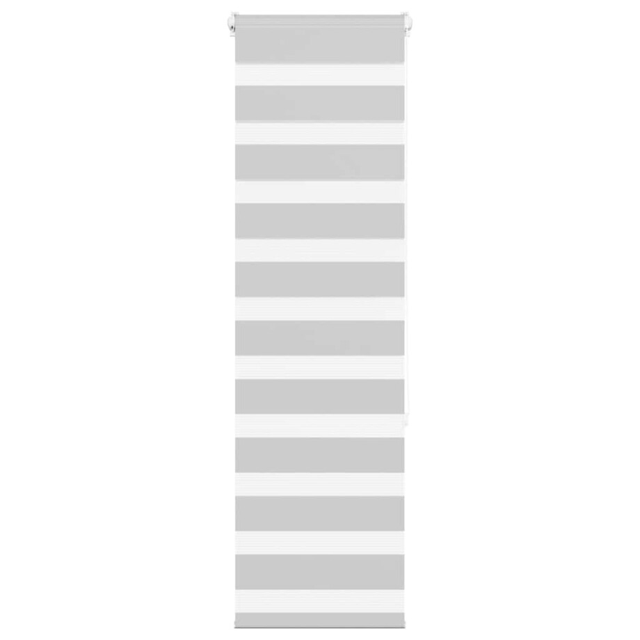vidaXL Zebra rolgordijn 50x150 cm stofbreedte 45,9cm lichtgrijs afbeelding 1