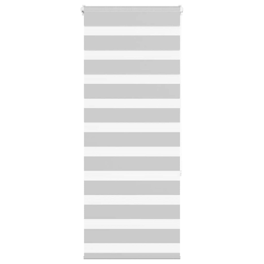 vidaXL Zebra rolgordijn 55x150 cm stofbreedte 50,9 cm lichtgrijs vidaXL Zebra rolgordijn 55x150 cm stofbreedte 50,9 cm lichtgrijs afbeelding 1