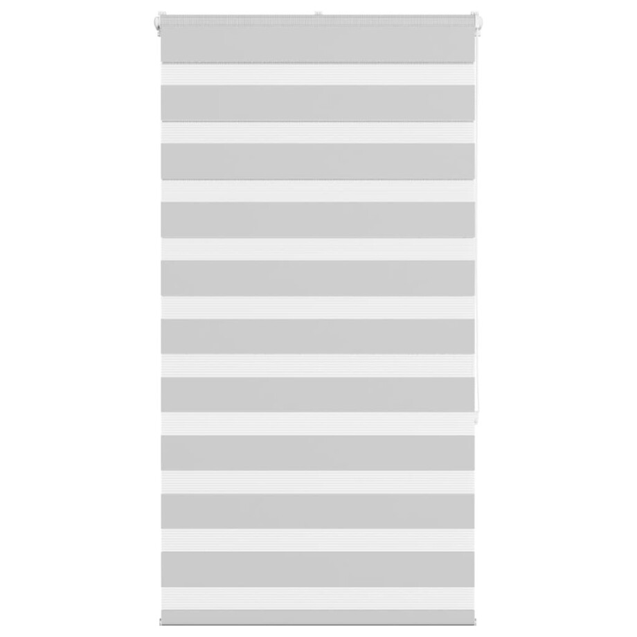 vidaXL Zebra rolgordijn 80x150 cm stofbreedte 75,9 cm lichtgrijs vidaXL Zebra rolgordijn 80x150 cm stofbreedte 75,9 cm lichtgrijs afbeelding 1