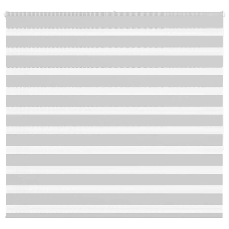 vidaXL Zebra rolgordijn 165x150 cm stofbreedte 160,9 cm lichtgrijs vidaXL Zebra rolgordijn 165x150 cm stofbreedte 160,9 cm lichtgrijs afbeelding 1