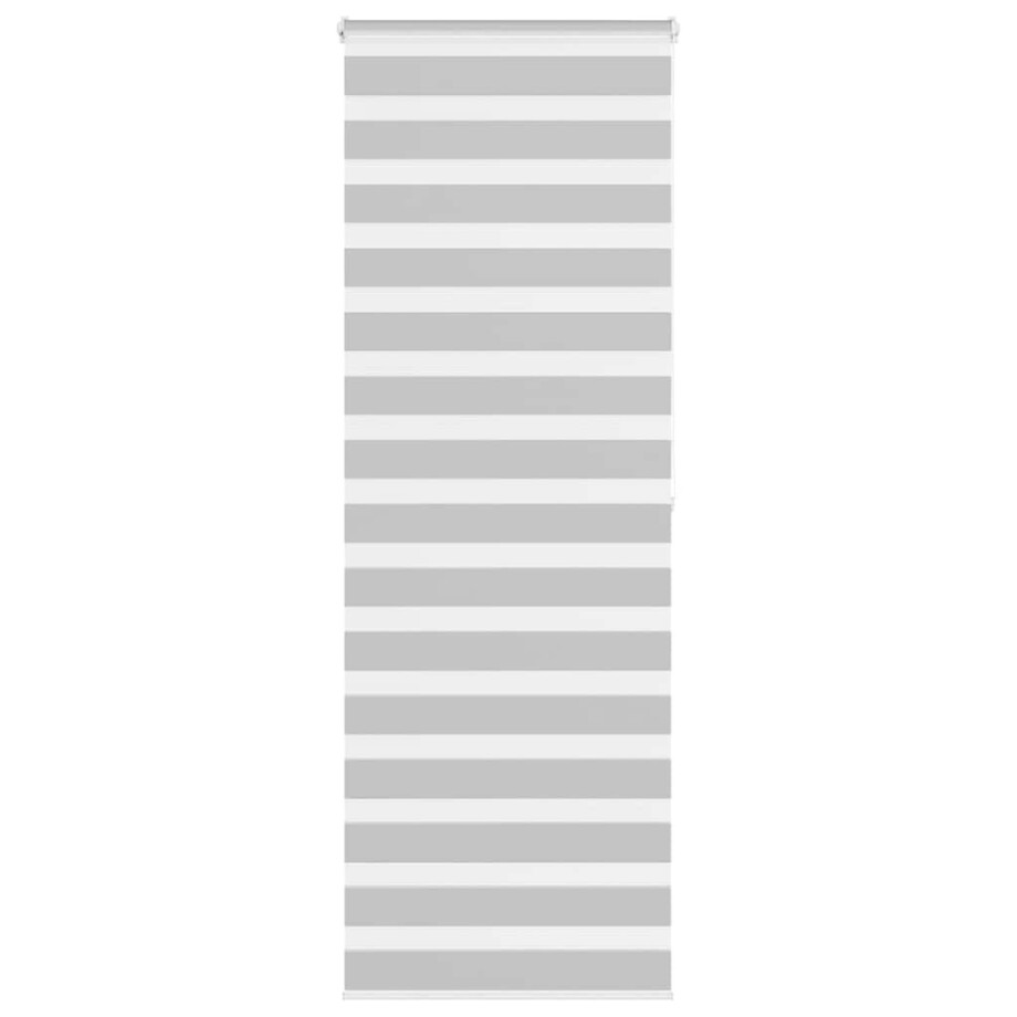 vidaXL Zebra rolgordijn 70x200 cm stofbreedte 65,9 cm lichtgrijs vidaXL Zebra rolgordijn 70x200 cm stofbreedte 65,9 cm lichtgrijs afbeelding 1