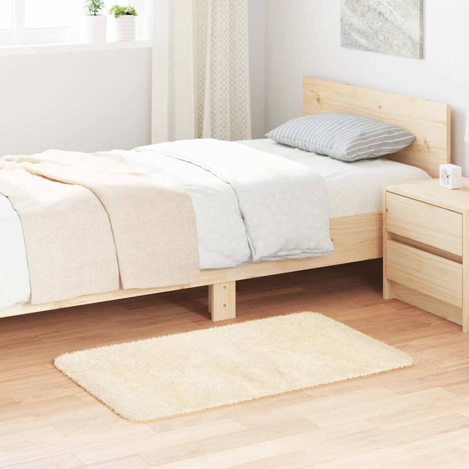 vidaXL Hoogpolig vloerkleed NAVARRA 60x100 cm polyester crèmekleurig vidaXL Hoogpolig vloerkleed NAVARRA 60x100 cm polyester crèmekleurig afbeelding 1