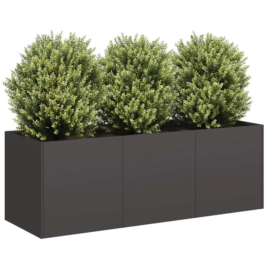 vidaXL Plantenbak 120x40x40 cm koudgewalst staal zwart afbeelding 1