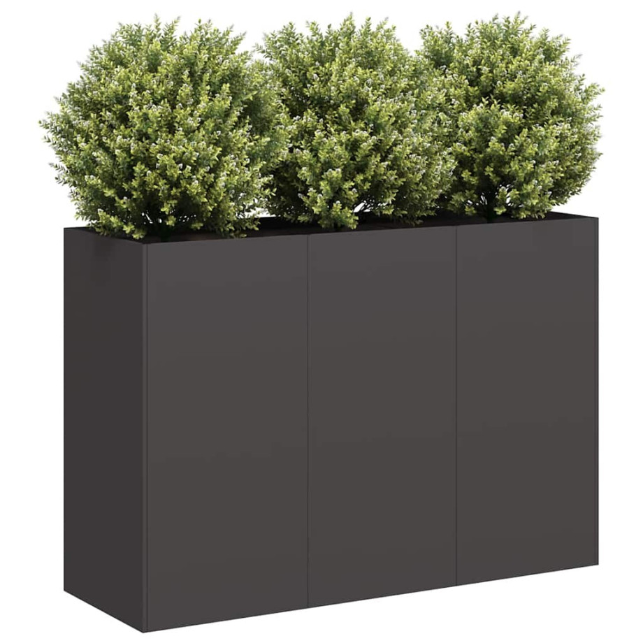 vidaXL Plantenbak 120x40x80 cm koudgewalst staal zwart afbeelding 1