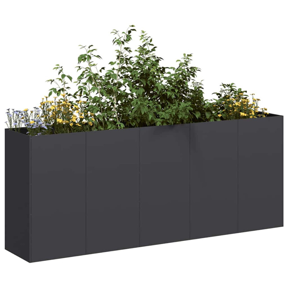 vidaXL Plantenbak 200x40x80 cm koudgewalst staal zwart afbeelding 1