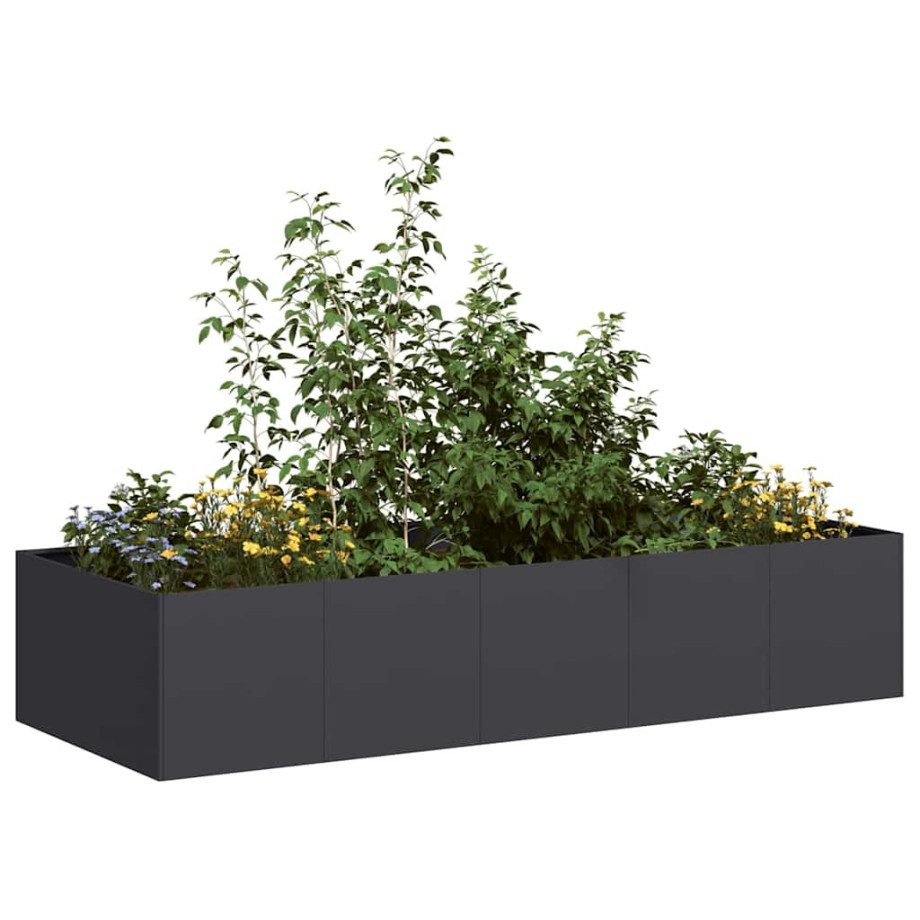 vidaXL Plantenbak 200x80x40 cm staal zwart afbeelding 1