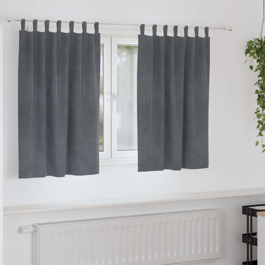 vidaXL Verduisterende gordijnen 2 pcs Lichtgrijs 140 x 140 cm Fluweel vidaXL Verduisterende gordijnen 2 pcs Lichtgrijs 140 x 140 cm Fluweel afbeelding 1