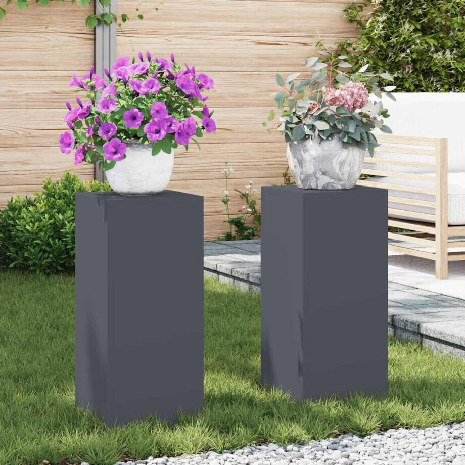 vidaXL Plantenstandaard 2 pcs Antraciet 24 x 24 x 55 cm Staal afbeelding 1