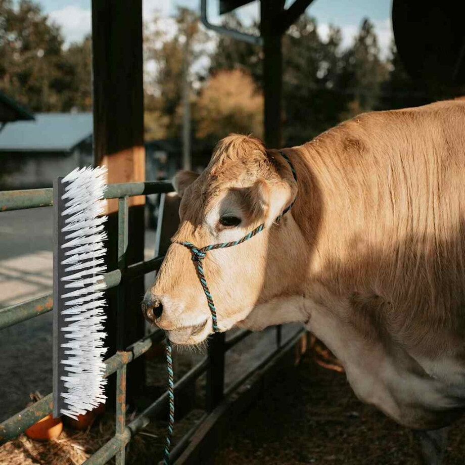 vidaXL Vee borstels Zwart en Wit 50 x 10 x 6.5 cm Kunststof en Staal afbeelding 1