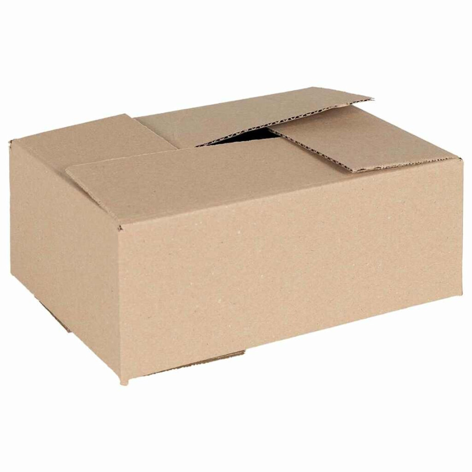 vidaXL Vouwdoos met opslag 50 pcs Naturel 25 x 17,5 x 10 cm Karton afbeelding 1