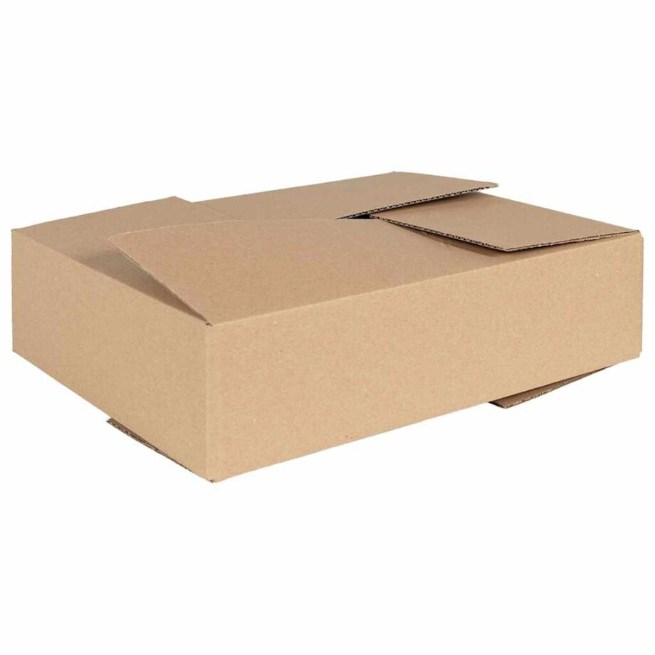 vidaXL Vouwdoos met opslag 50 pcs Naturel 40 x 30 x 10 cm Karton afbeelding 1