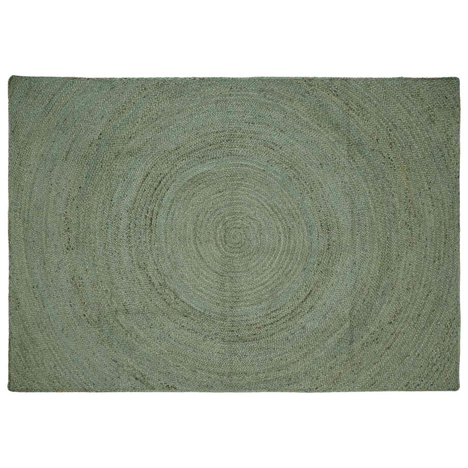 vidaXL Vloerkleden Olijfgroen 240 x 340 cm Jute vidaXL Vloerkleden Olijfgroen 240 x 340 cm Jute afbeelding 1