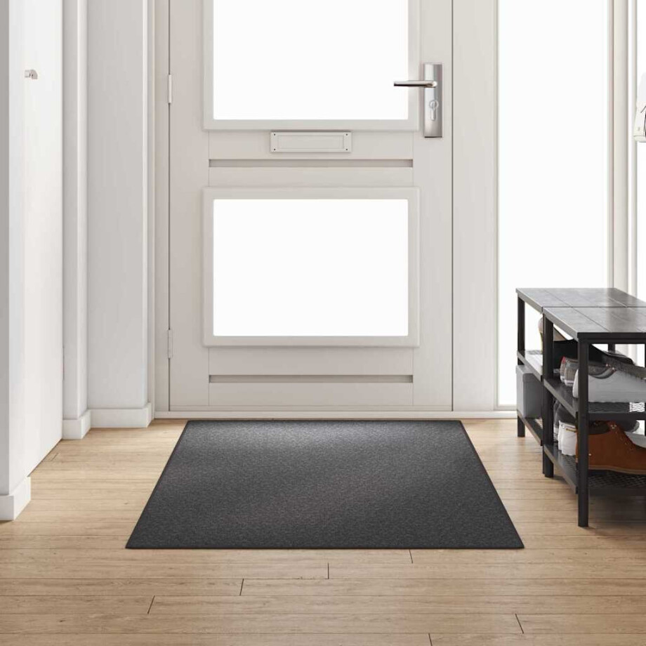vidaXL Tapijt Loper Donkergrijs 100 x 250 cm 100% Polypropyleen afbeelding 1
