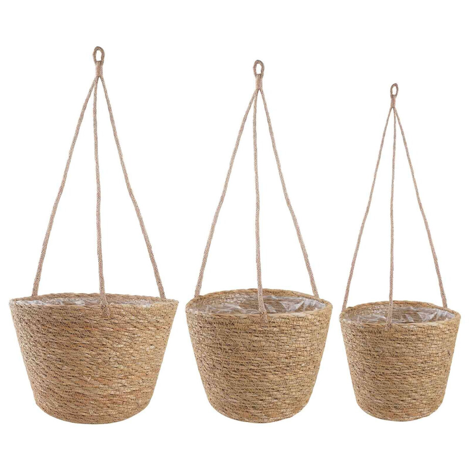 vidaXL Zeegras Plantenmanden 3 pcs Naturel Ø26 x 19 cm 100% Zeegras vidaXL Zeegras Plantenmanden 3 pcs Naturel Ø26 x 19 cm 100% Zeegras afbeelding 1